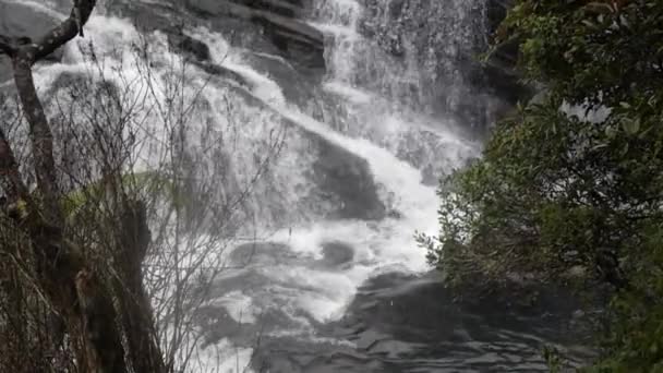 スリランカ、ホートン プレーンズ、ウォールズ エンドの山の滝 — ストック動画