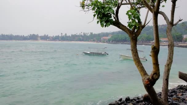 Longue casserole gauche pour bateau en mer, mer claire — Video