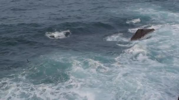 Ondas fortes quebrando nas rochas — Vídeo de Stock