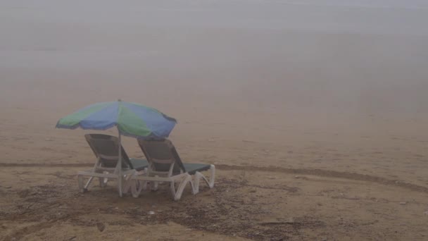 Sozinho férias sunbed na praia no nevoeiro — Vídeo de Stock