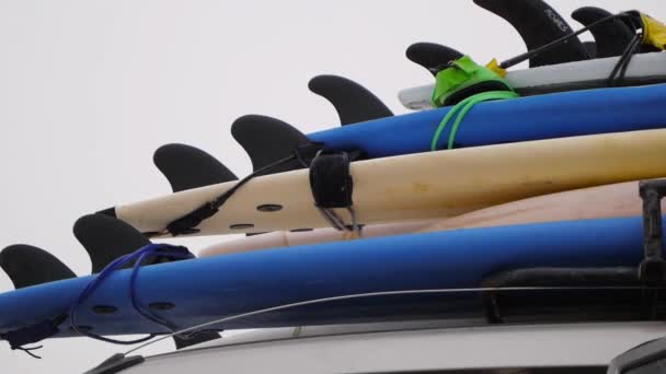Idyllic серфінг спосіб життя з фургоном і довга дошка біля моря — стокове відео