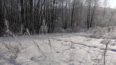 Genç çift birlikte derin karda düşüyor