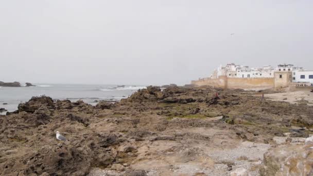 Tarihsel Essaouira kenti yakınlarındaki Atlantik Okyanusu Fas — Stok video