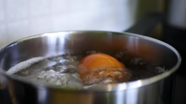 Приготування сніданку Варені яйця — стокове відео
