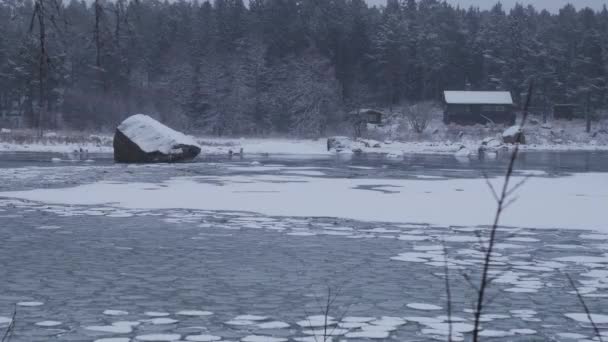 Ice floes in de Baltische Zee — Stockvideo