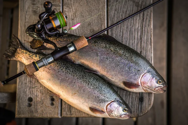 Two trouts and fishing rod — Stock Photo, Image