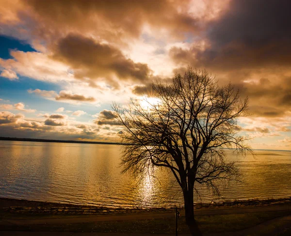 Lachine Quebec Winter December . — Stock Photo, Image