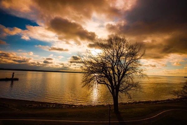 Lachine Quebec Winter December . — Stock Photo, Image