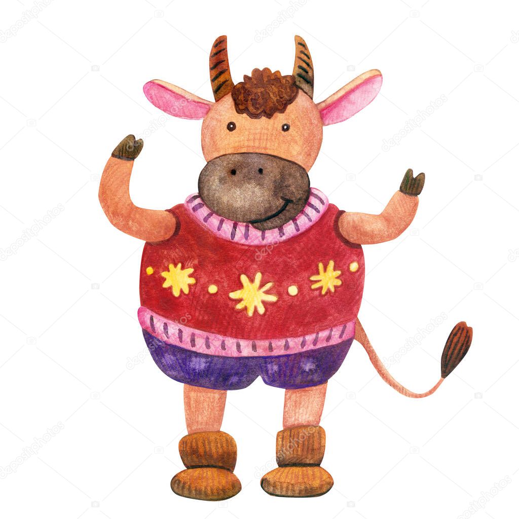 Watercolor cute cheerful bull wearing a cozy sweater. Year of ox. Hand painted illustration isolated on white background. Great for kids design, greeting cards,  children products  decoration. 