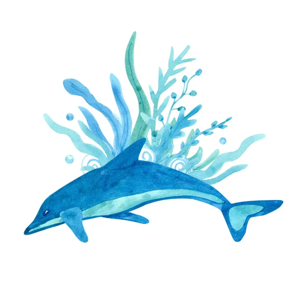 水彩画 白色背景上有海豚和海藻 蓝色和绿松石色 海洋动物手绘插图 很适合海报 杯子装饰 剪贴等等 — 图库照片