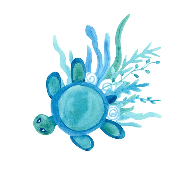 Watercolor Composition Turtle Seaweed White Background Blue Turquoise Colors Sea — Stock Photo, Image