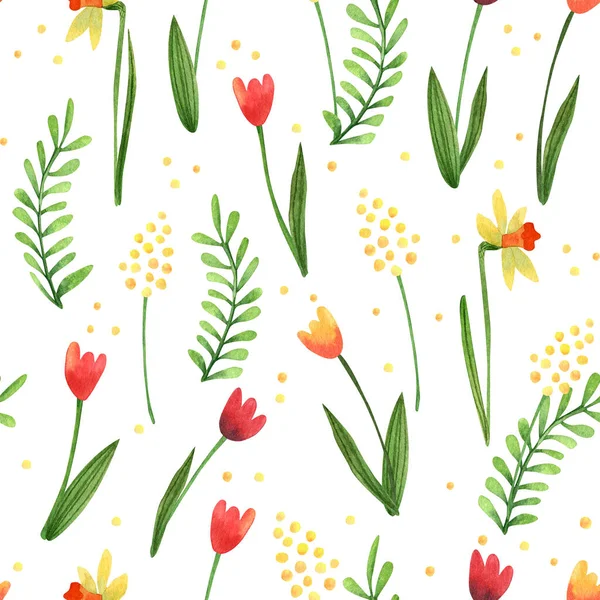 Watercolor Seamless Pattern Spring Flowers Narcissus Mimosa Tulip Flowers White — Stock Photo, Image