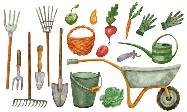 園芸用具と収穫野菜をセットします 手描き水彩画手は 白に隔離された散水缶 バケツ バスケット ピッチフォーク シャベルやホイールバローのイラストを描きました — ストック写真