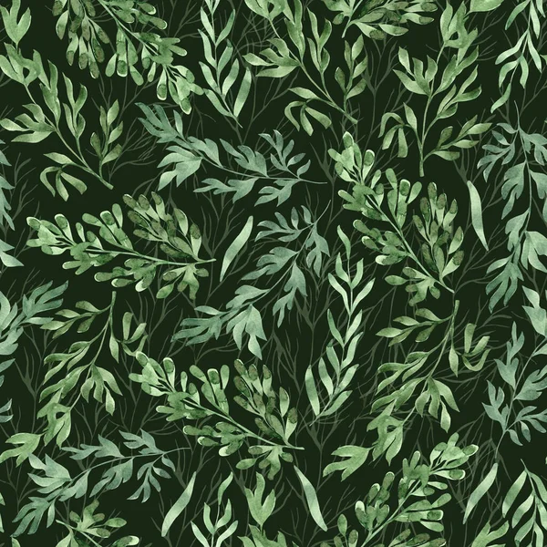 Watercolor Seamless Pattern Herbs Leaves Hand Painted Illustration Dark Green — Foto Stock