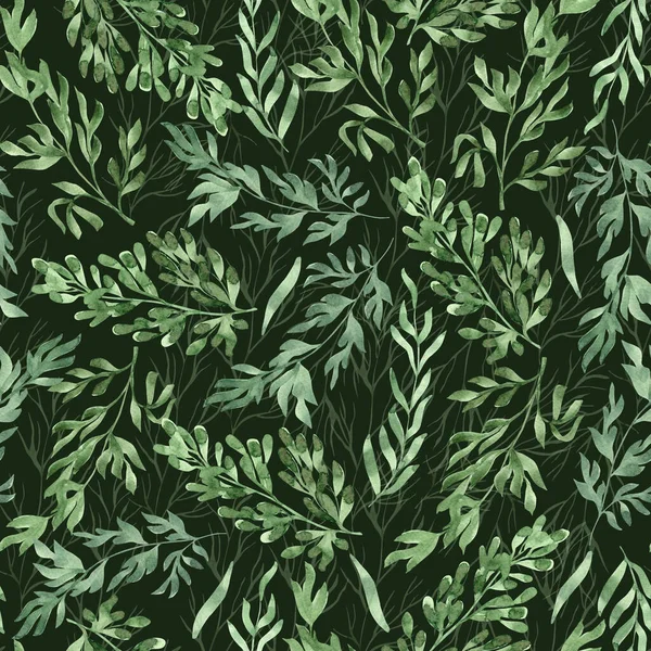 Watercolor Seamless Pattern Herbs Leaves Hand Painted Illustration Dark Green — Stok fotoğraf