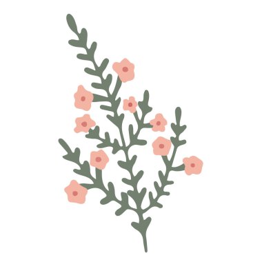 Küçük pembe çiçekli yeşil bir dal. El çizimi vektör çizimi beyaza izole edildi. Yaban çiçeği ya da çayır bitkisi.