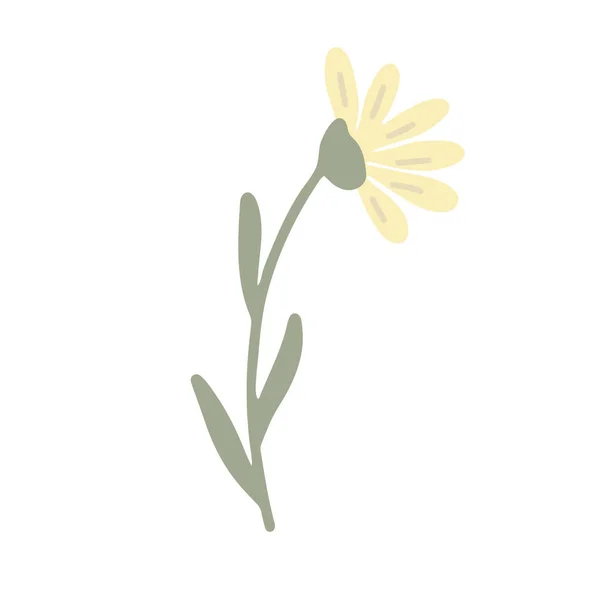 Yellow Wildflower Hand Drawn Vector Illustration Isolated White — Stock Vector