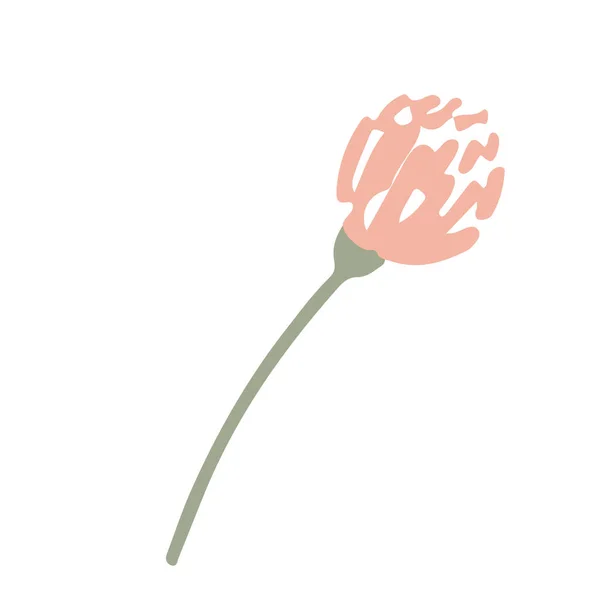 Yonca Yaban Çiçeği Eli Beyaz Üzerine Izole Edilmiş Düz Vektör — Stok Vektör