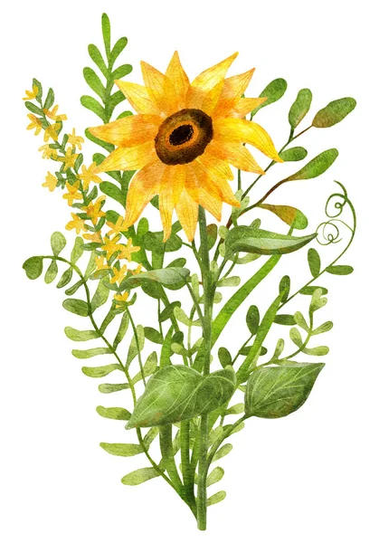 Sonnenblumenstrauß Sommerblumen Kräuter Blätter Digatal Illustration Isoliert Auf Weiß Ideal — Stockfoto