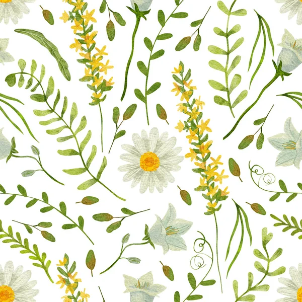 Gyönyörű Zökkenőmentes Minta Vadvirágokkal Gyógynövényekkel Levelekkel Digitális Akvarell Illusztráció Fehér — Stock Fotó