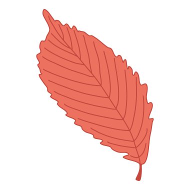 Red autumn leaf. Hand drawn  vector illustration with color outline isolated on white background.	