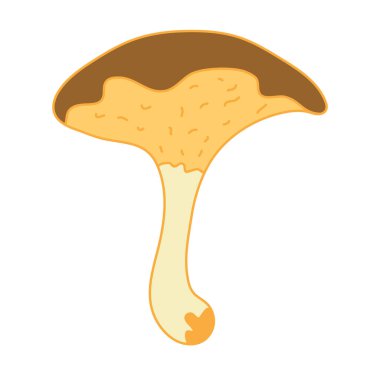 Suillus bovinus mushroom. Hand drawn  vector illustration with outline isolated on white background.	