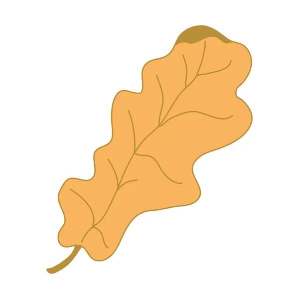 Pomarańczowy Liść Dębu Ręcznie Rysowane Wektor Ilustracja Obrysem Koloru Izolowane — Wektor stockowy