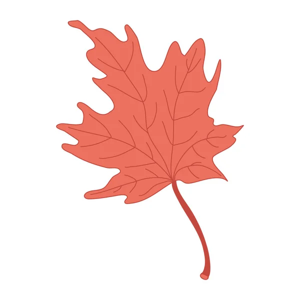 Red Maple Leaf Hand Drawn Vector Illustration Color Outline Isolated — Wektor stockowy