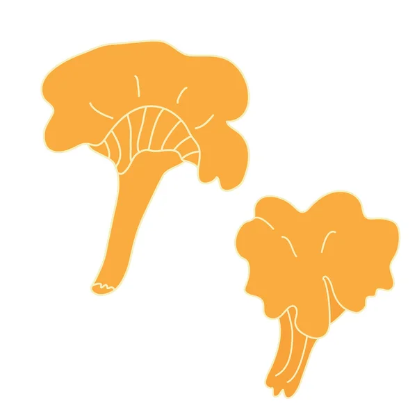 Forest Edible Mushroom Chanterelle Hand Drawn Vector Illustration Outline Isolated — 图库矢量图片