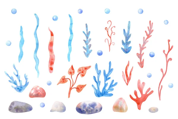 Watercolor Set Seaweed Stone White Background Hand Painted Illustration Water — Stock Photo, Image