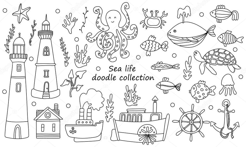 Sea life collection with animals, seaweed and lighthouses. Hand drawn vector illustration in doodle style. Isolated black outline. Sea and ocean  theme. Great for kids coloring books.