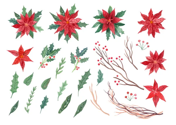 Watercolor Set Poinsettia Flowers Tree Branches Leaves Holly Berries Christmas — Stock Photo, Image