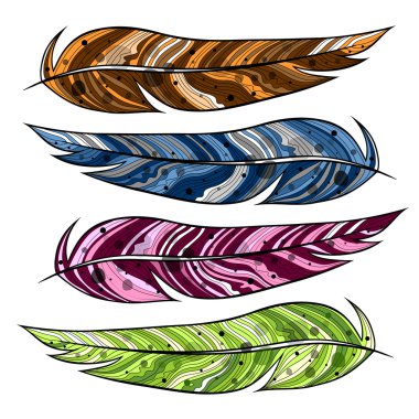 Renk tüy bir kuş. Vektör çizim