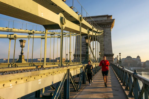 Dapest Grudzień 2019 Most Łańcuchowy Szchenyi Zamek Buda Budynek Parlamentu — Zdjęcie stockowe