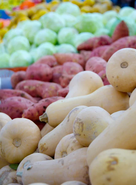 Israël markt produceren: kleurrijke verse paprika — Stockfoto