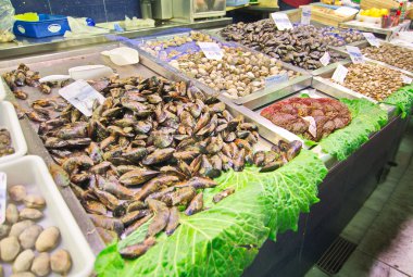 Deniz mahsülleri Barcelona La Boqueria Pazar