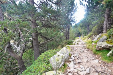 Vall de Nuria hiking kardeşler