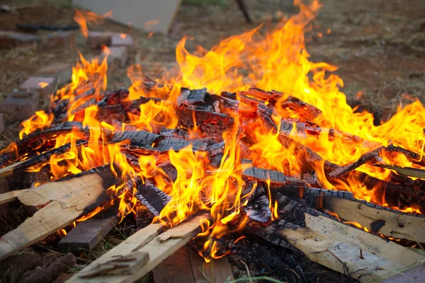 Gros plan d'un feu de joie — Photo