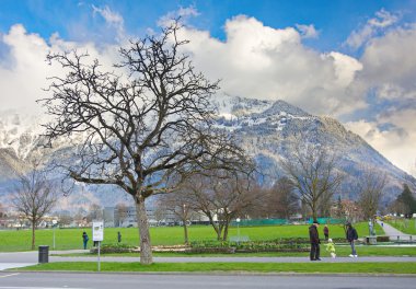 Ağaç ve dağlar Interlaken, İsviçre