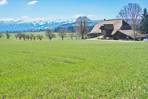 La campagna svizzera — Foto Stock