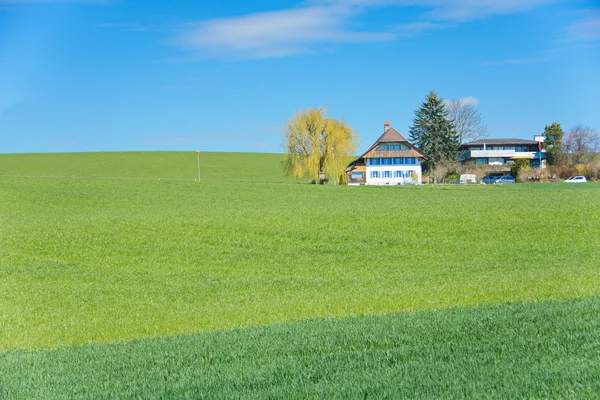 La campagna svizzera — Foto Stock