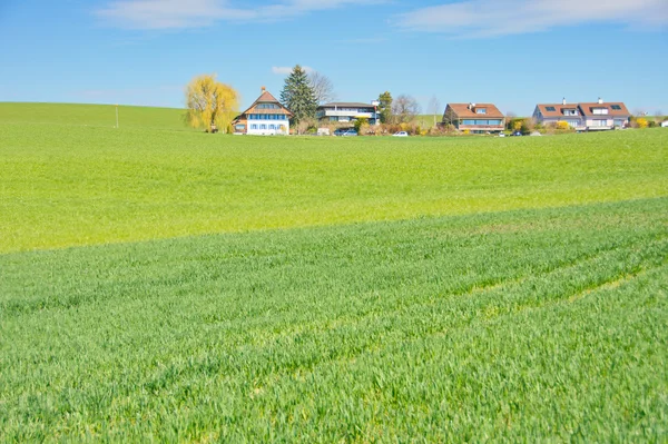 Het Zwitserse platteland — Stockfoto