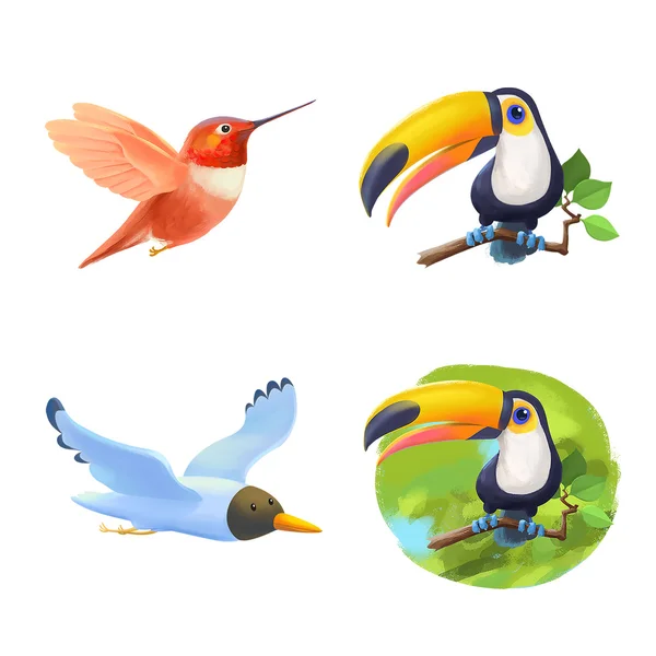 Karikatür tarzı renkli egzotik kuşlar kümesi. Tukan, colibri, martı. İzole — Stok fotoğraf