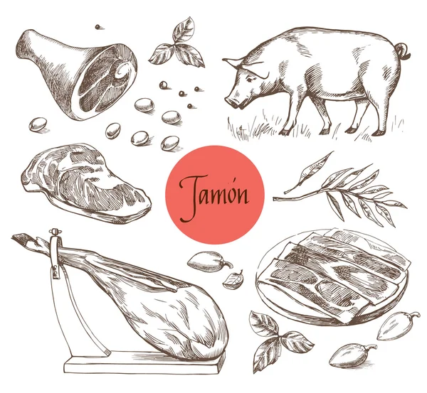 Jamon set. Maiale iberico nero, Jamon, Carne, Manzo, spezie per carne. Illustrazione vettoriale in stile Vintage. Può essere utilizzato per l'illustrazione del menu, etichetta o immagine adesiva. Isolato — Vettoriale Stock