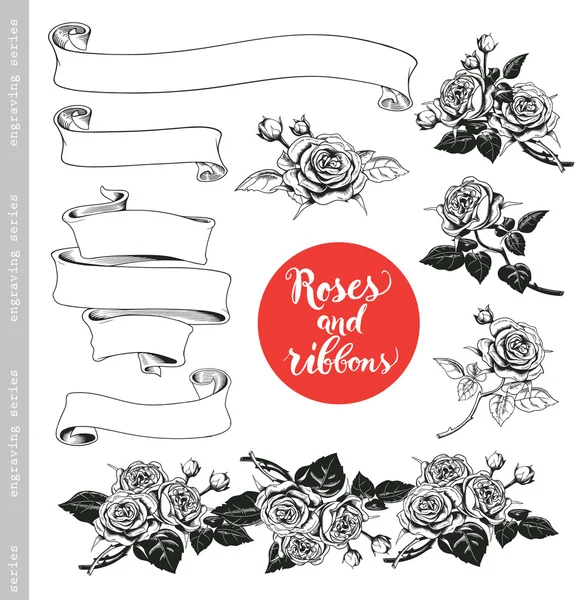 Conjunto de rosas blancas y cintas en estilo grabado vintage. Elementos decorativos barrocos. garabatos florales, hojas, ramas, flores, pancartas. Bueno para guardar las tarjetas de fecha, invitaciones de boda. Vector — Vector de stock