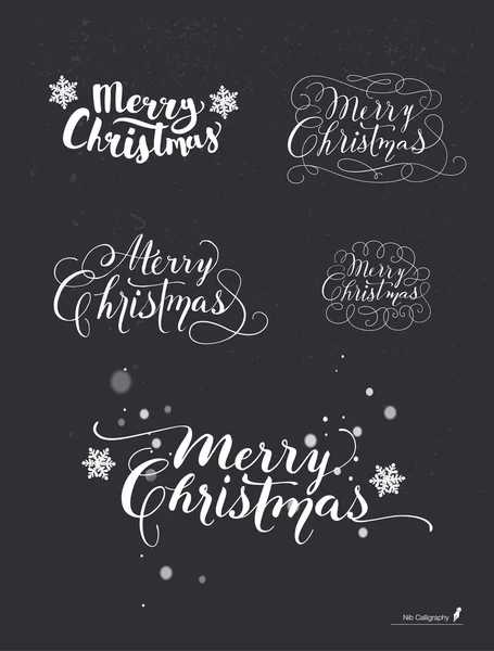 Set of Hand-Drawn Lettering based on a Nib and Brush Calligraphy. Snowflakes on the background. Merry Christmas. Vector. — Stock Vector