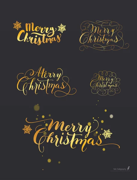 Kézzel rajzolt betűkkel, a Nib és a kalligráfia-ecset készlet. Hópelyhek a háttérben. Boldog karácsonyt. Vektor. — Stock Vector