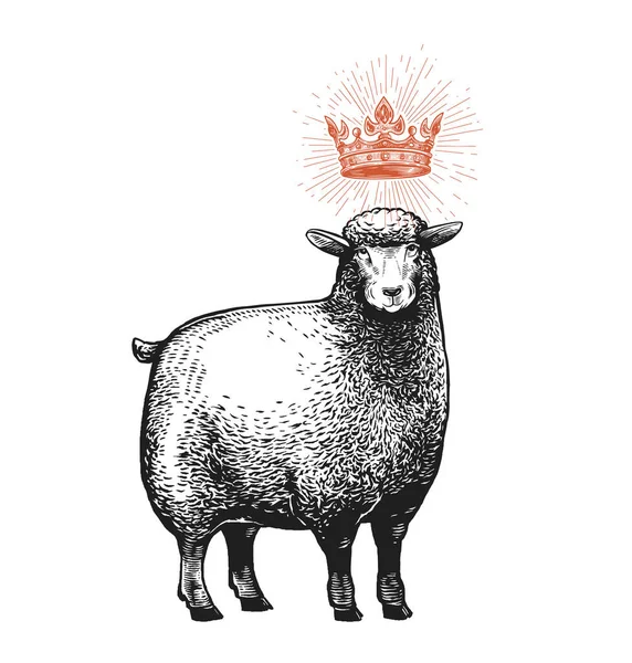 Ilustración estilizada vectorial de la oveja con la corona sobre su cabeza y expresión fasial sorprendida. Ilustración vectorial de la oveja reina en estilo gráfico Aislada sobre fondo blanco. — Archivo Imágenes Vectoriales