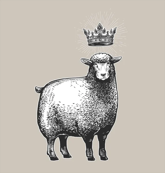 Vektor Stylized Illustration of the Sheep dengan mahkota di atas kepalanya dan terkejut ekspresi fasial. Vektor ilustrasi dari Queen Sheep dalam gaya grafis pada latar belakang putih. - Stok Vektor