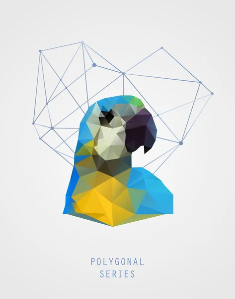 Aves poligonais abstratas. Triângulos coloridos fundo. Ilustração geométrica. Cartaz poli baixo — Vetor de Stock